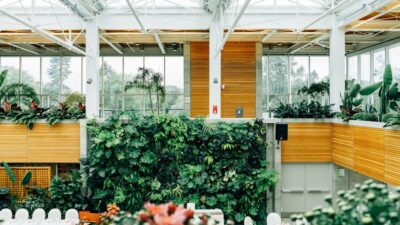 10 Things You Didn’t Know About Biophilic Design