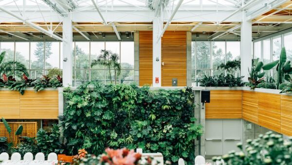 10 Things You Didn’t Know About Biophilic Design