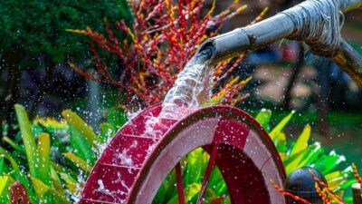 10 Ways to Use Water Features to Enhance Your Garden
