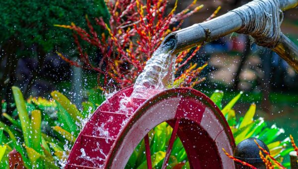 10 Ways to Use Water Features to Enhance Your Garden