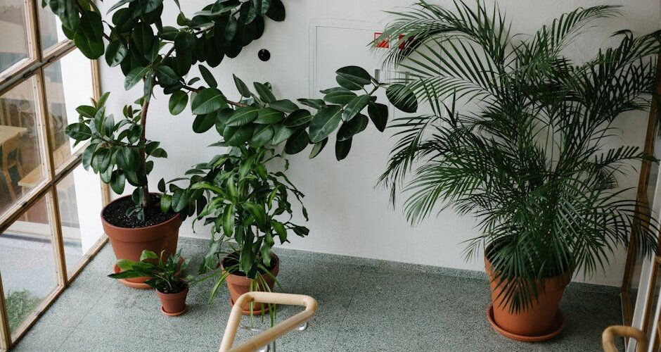 15 Best Indoor Plants for Every Room in Your Home