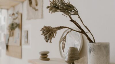 2027 Trends: Incorporating Natural Elements into Home Decor