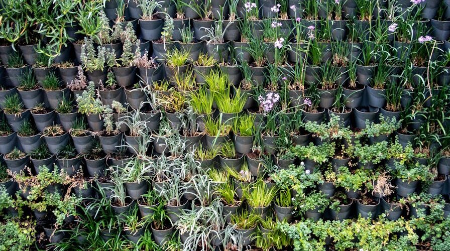 The Ultimate Guide to Creating a Sustainable Garden in 2026
