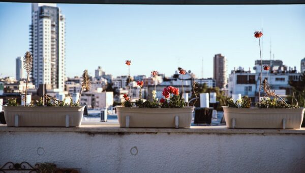 The Art of Transforming Your Balcony into a Botanical Sanctuary in 2026