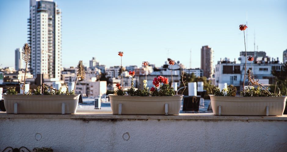 The Art of Transforming Your Balcony into a Botanical Sanctuary in 2026