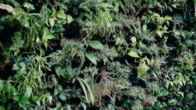 Why Vertical Gardens Are the Must-Have Outdoor Feature of 2027