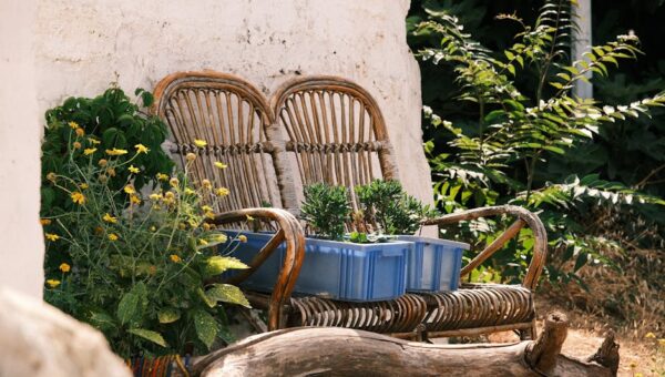 Reviving the Lost Art of Cottagecore: Rustic Decor and Garden Ideas for 2026