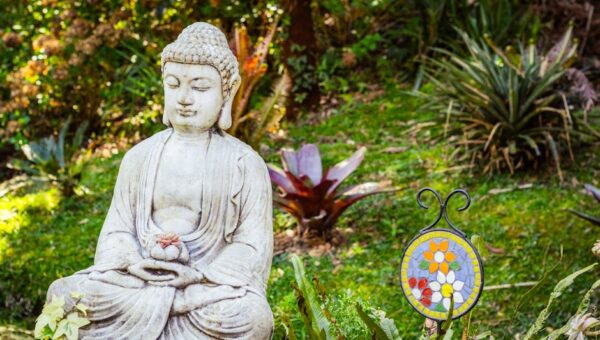 Cultivating Calm: Designing a Meditation Garden Oasis for 2026