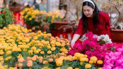 The Alchemy of Colors: Revamping Your Outdoor Living Space for 2026 with Kaleidoscopic Hues