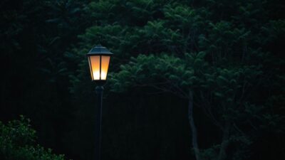 Crafting a Nocturnal Haven: Night Gardens and After-Dark Decor Trends for 2026