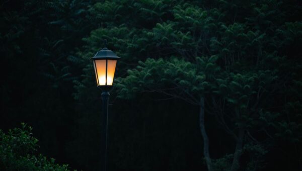 Crafting a Nocturnal Haven: Night Gardens and After-Dark Decor Trends for 2026