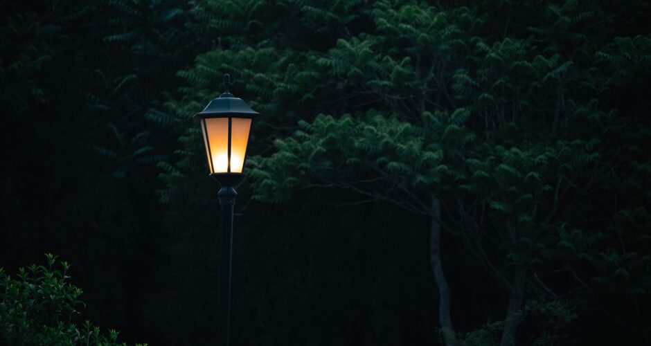 Crafting a Nocturnal Haven: Night Gardens and After-Dark Decor Trends for 2026