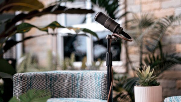 The Acoustic Garden: Designing Soundscapes for Your Outdoor Sanctuary in 2026