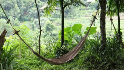 Zen and the Art of Hammock Living: Finding Tranquility in Your Outdoor Space 2026
