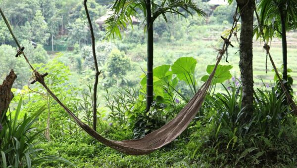 Zen and the Art of Hammock Living: Finding Tranquility in Your Outdoor Space 2026