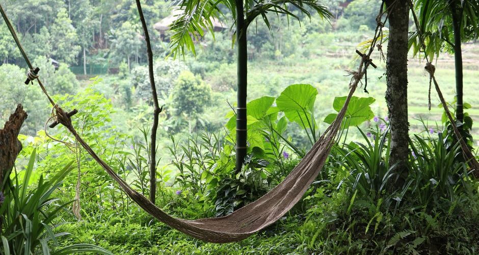 Zen and the Art of Hammock Living: Finding Tranquility in Your Outdoor Space 2026