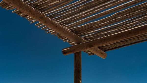 The Art of Shade: Designing Sun-Protected Sanctuaries in 2026