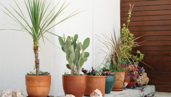 Terracotta Reimagined: Bringing the Warmth of Earth into Your Home and Garden in 2026
