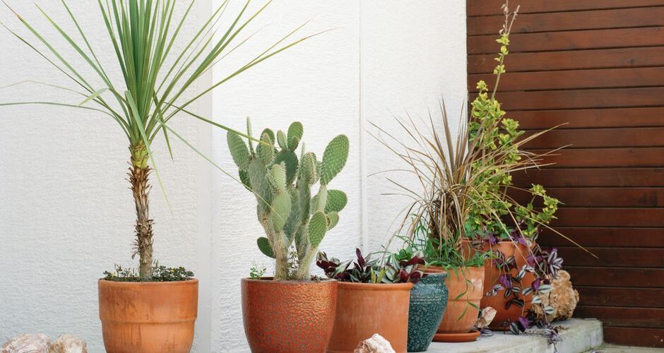 Terracotta Reimagined: Bringing the Warmth of Earth into Your Home and Garden in 2026