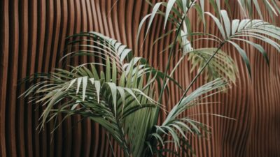 Biophilic Design: Bringing Nature into Your Home and Garden for 2026