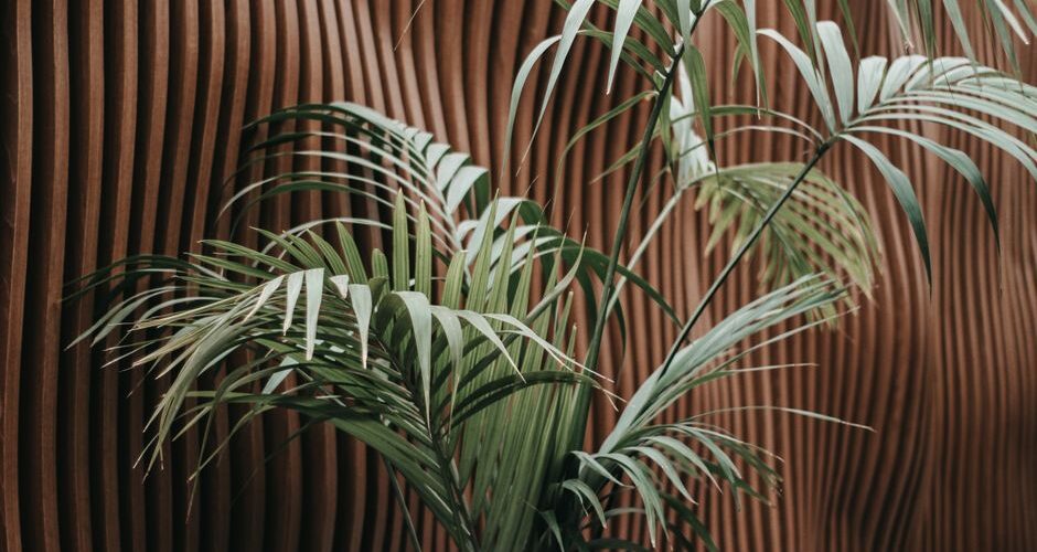 Biophilic Design: Bringing Nature into Your Home and Garden for 2026